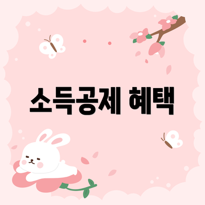 소득공제 혜택
