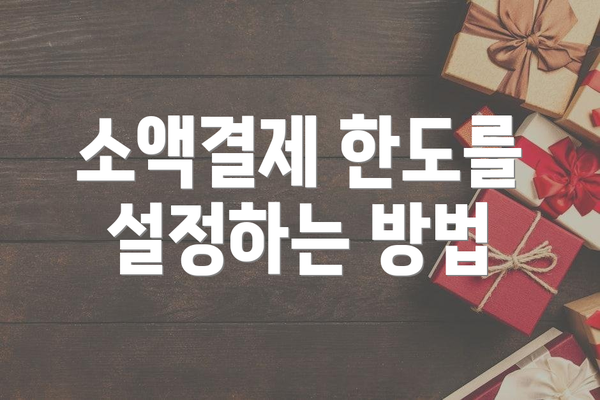 소액결제 한도를 설정하는 방법