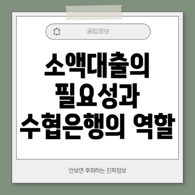 소액대출의 필요성과 수협은행의 역할