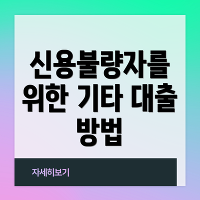 신용불량자를 위한 기타 대출 방법