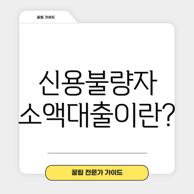 신용불량자 소액대출이란?