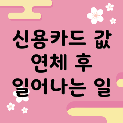 신용카드 값 연체 후 일어나는 일