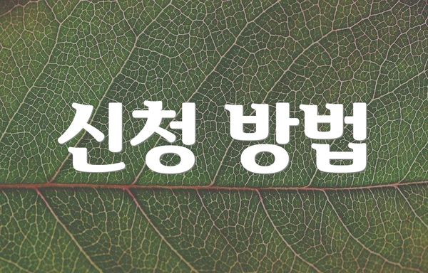 신청 방법