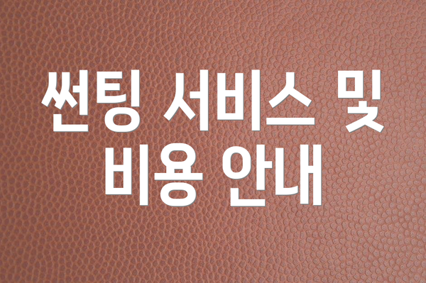 썬팅 서비스 및 비용 안내