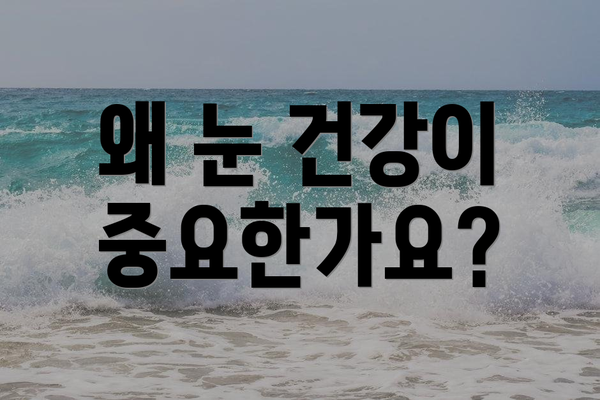 왜 눈 건강이 중요한가요?