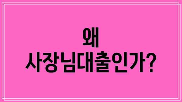왜 사장님대출인가?