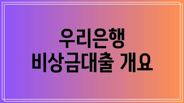 우리은행 비상금대출 개요