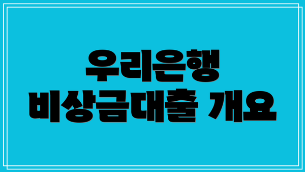 우리은행 비상금대출 개요