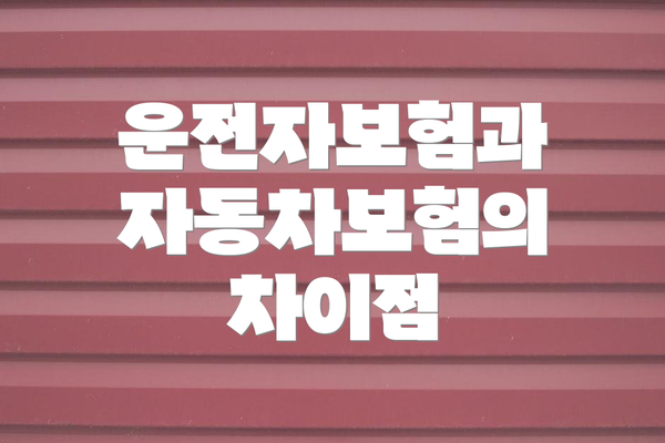 운전자보험과 자동차보험의 차이점