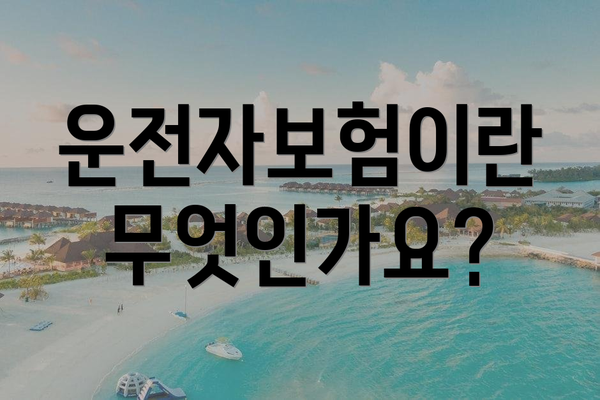 운전자보험이란 무엇인가요?