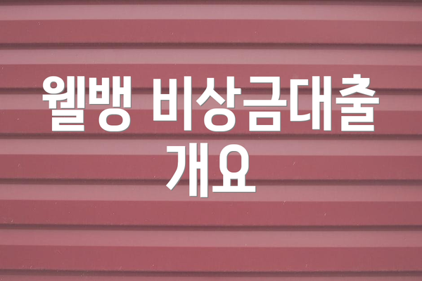 웰뱅 비상금대출 개요