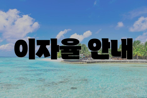이자율 안내