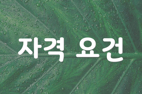 자격 요건