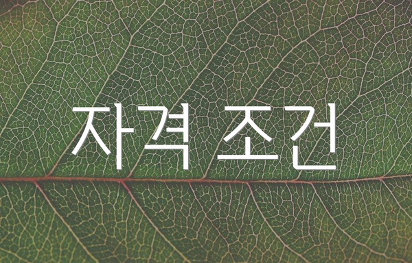 자격 조건