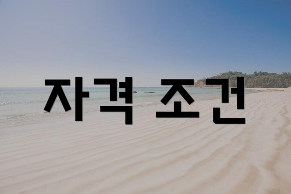 자격 조건