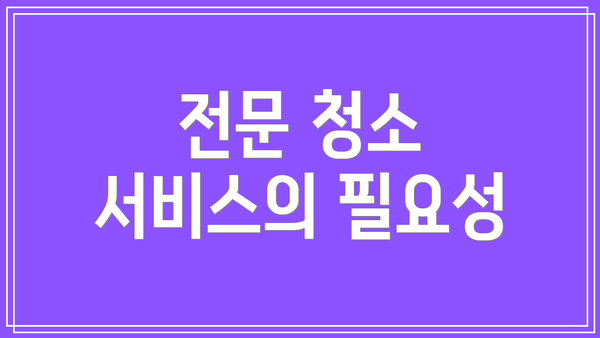 전문 청소 서비스의 필요성