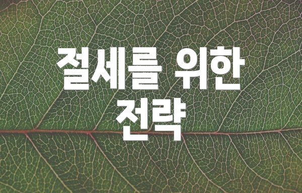 절세를 위한 전략