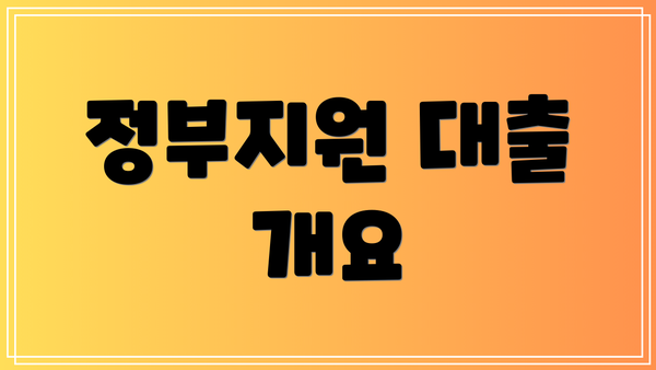 정부지원 대출 개요