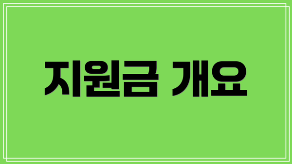 지원금 개요