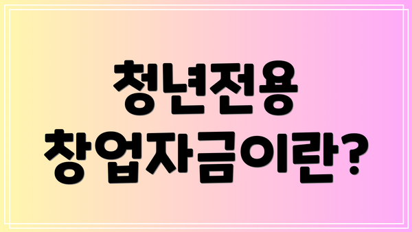 청년전용 창업자금이란?