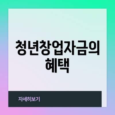 청년창업자금의 혜택