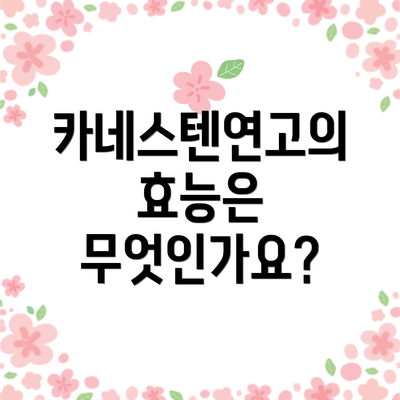 카네스텐연고의 효능은 무엇인가요?
