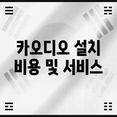 카오디오 설치 비용 및 서비스