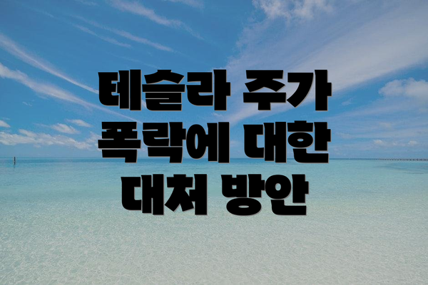 테슬라 주가 폭락에 대한 대처 방안