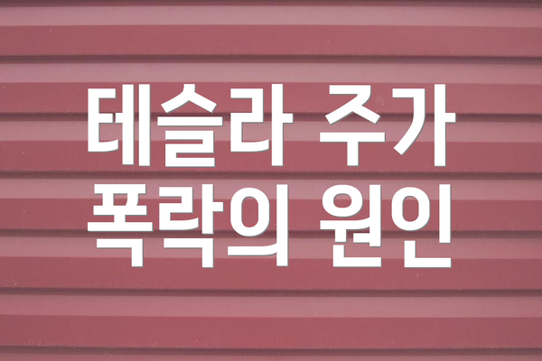 테슬라 주가 폭락의 원인