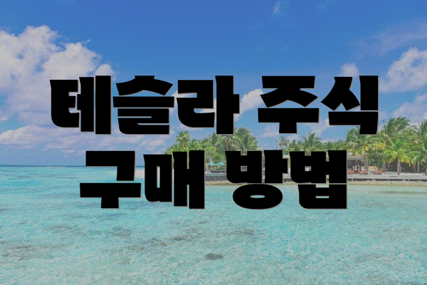 테슬라 주식 구매 방법