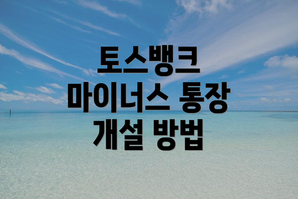 토스뱅크 마이너스 통장 개설 방법