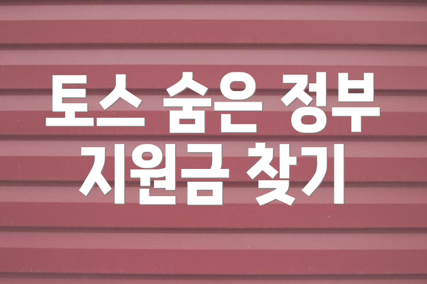 토스 숨은 정부 지원금 찾기
