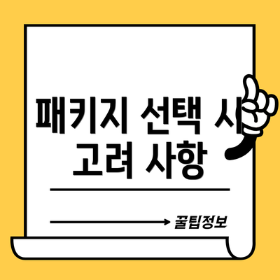패키지 선택 시 고려 사항