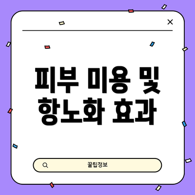 피부 미용 및 항노화 효과