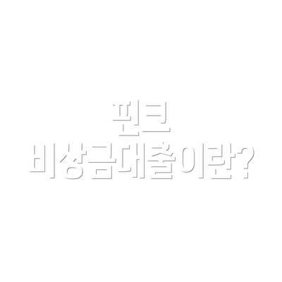 핀크 비상금대출이란?