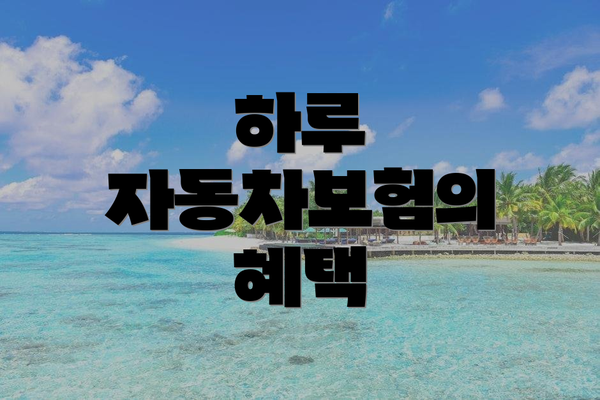 하루 자동차보험의 혜택