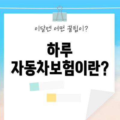 하루 자동차보험이란?