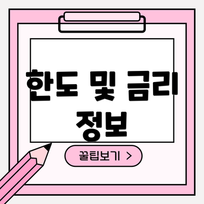 한도 및 금리 정보