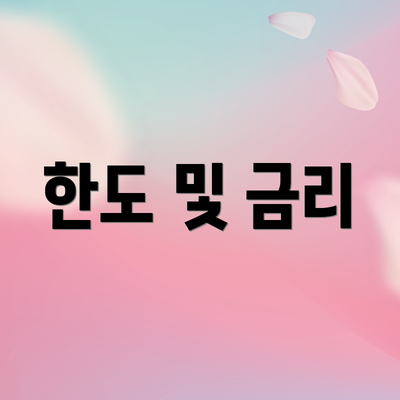 한도 및 금리