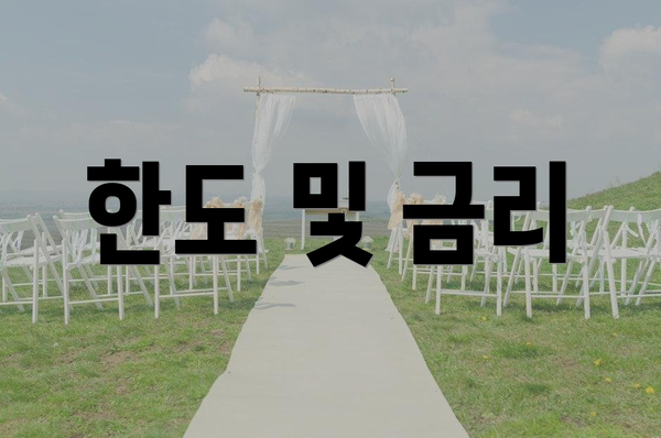 한도 및 금리