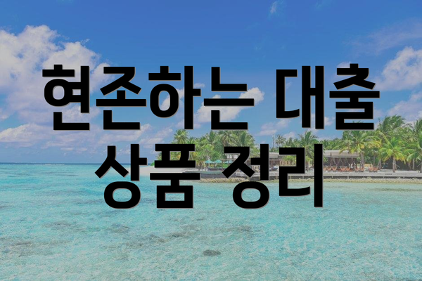 현존하는 대출 상품 정리
