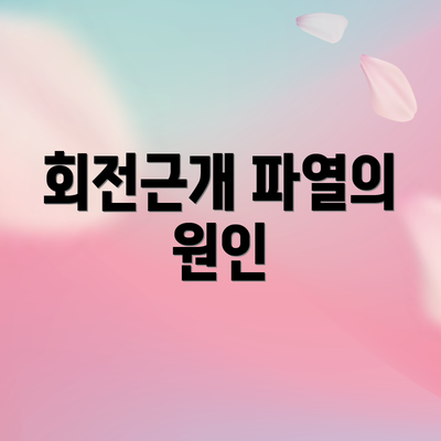 회전근개 파열의 원인