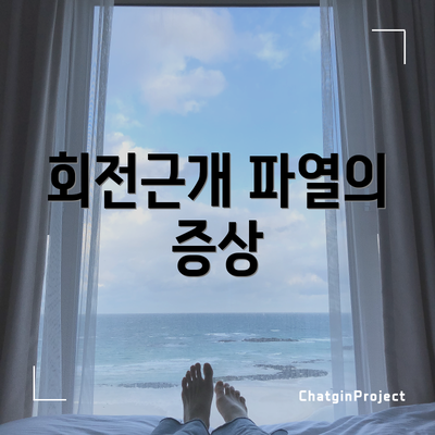 회전근개 파열의 증상