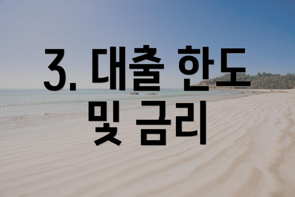 3. 대출 한도 및 금리