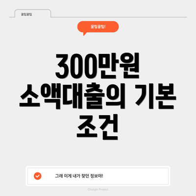 300만원 소액대출의 기본 조건
