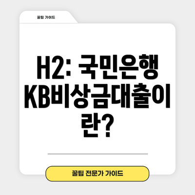 H2: 국민은행 KB비상금대출이란?