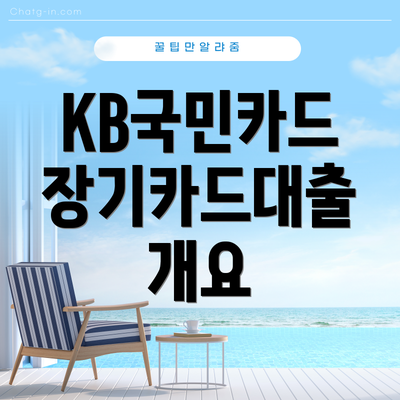 KB국민카드 장기카드대출 개요