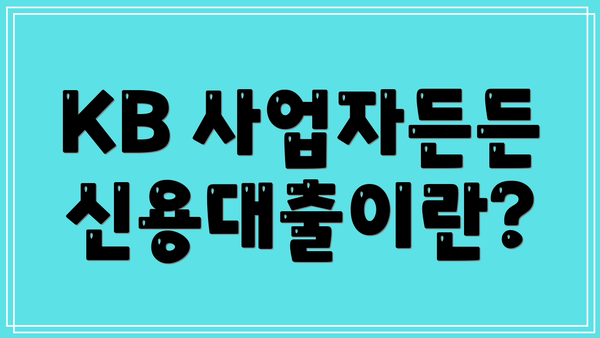 KB 사업자든든 신용대출이란?