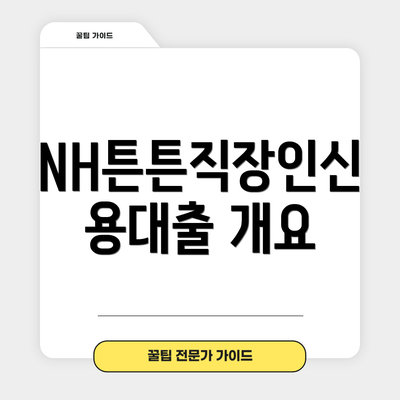 NH튼튼직장인신용대출 개요