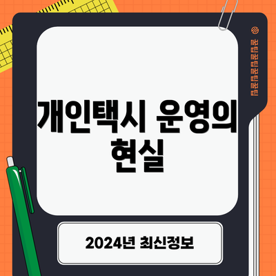 개인택시 운영의 현실